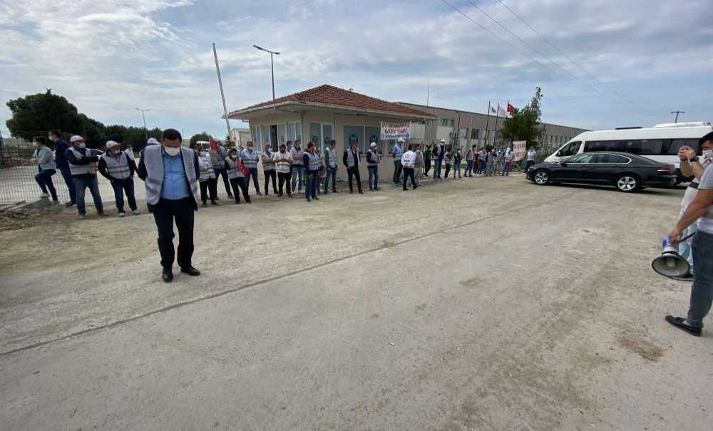 Grev Kırıcılığına Karşı Denetleme Yapılacak