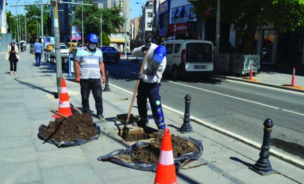 Omurtak Caddesi'ne Ağaç Dikildi