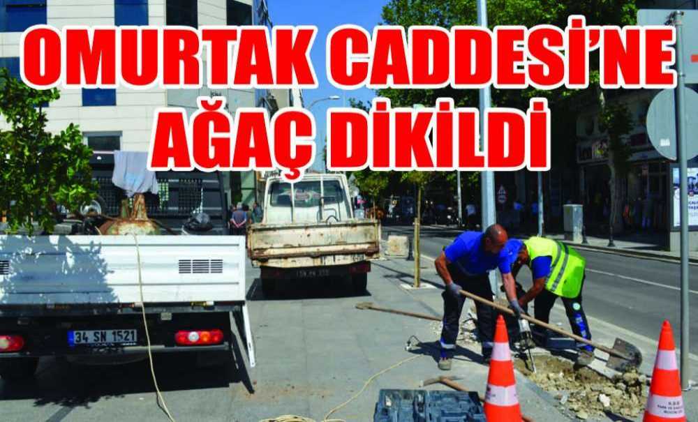 Omurtak Caddesi'ne Ağaç Dikildi