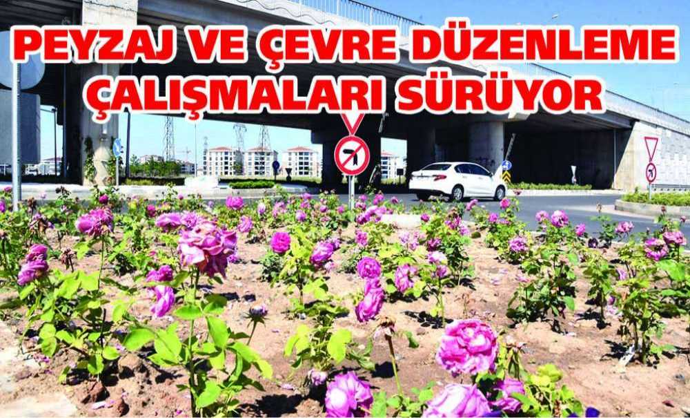 Peyzaj Ve Çevre Düzenleme Çalışmaları Sürüyor