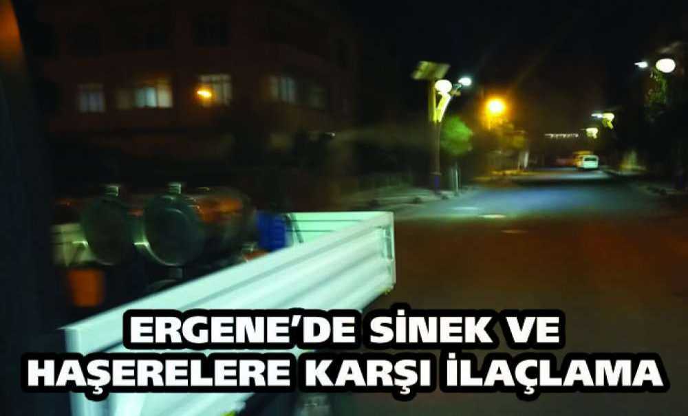 Ergene'de Sinek Ve Haşerelere Karşı İlaçlama