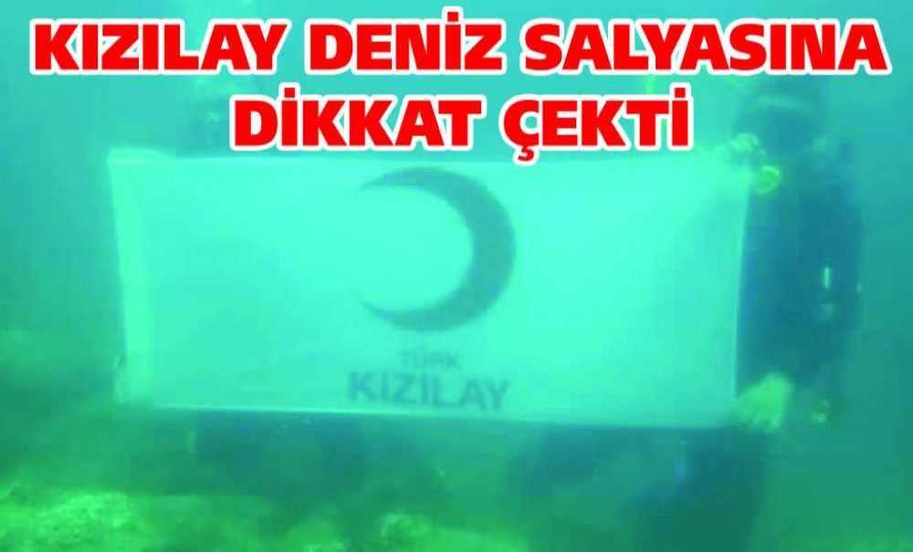 Kızılay Deniz Salyasına Dikkat Çekti