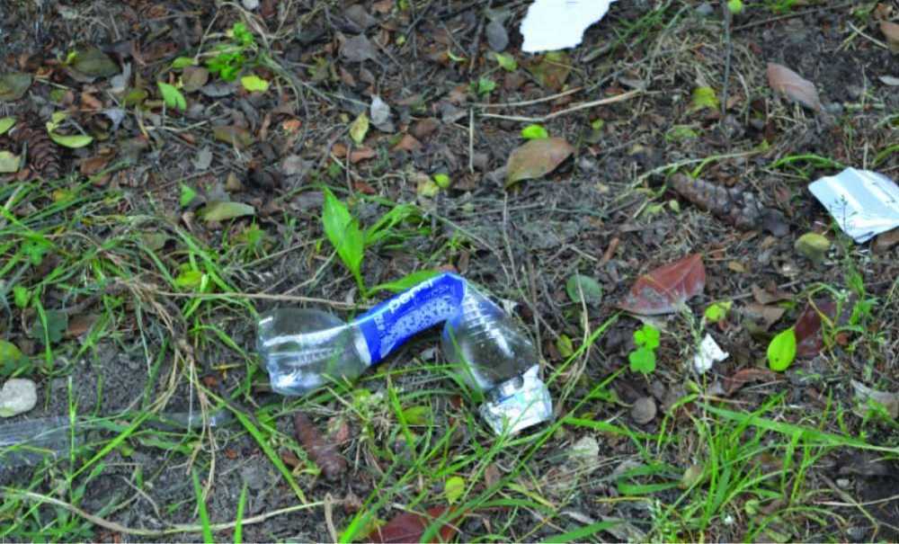 Havalar Isındı Bağımlılar Yine Ortaya Çıktı