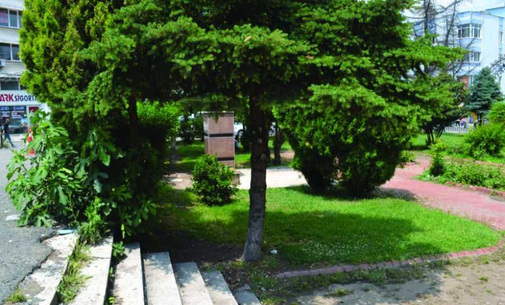 Havalar Isındı Bağımlılar Yine Ortaya Çıktı