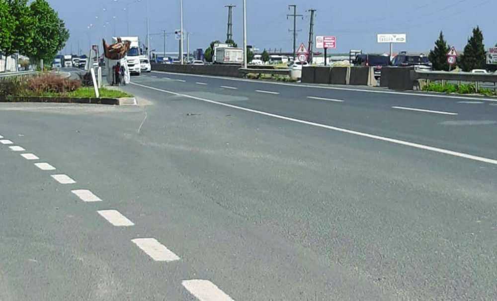 Sınır Tanımıyorlar!