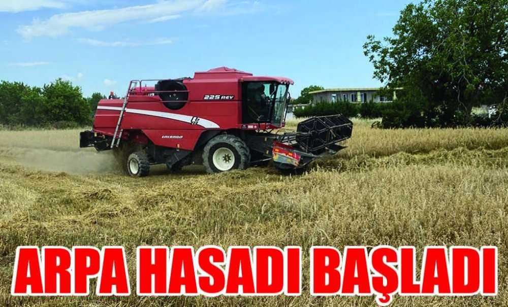 Arpa Hasadı Başladı