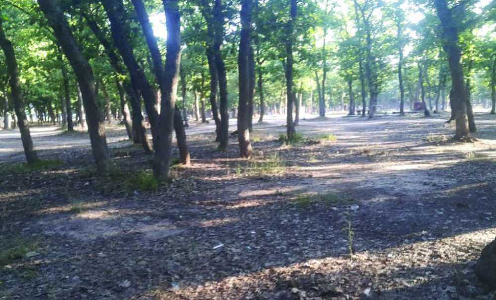 Ergene Belediyesi Mesire Alanını Temizledi