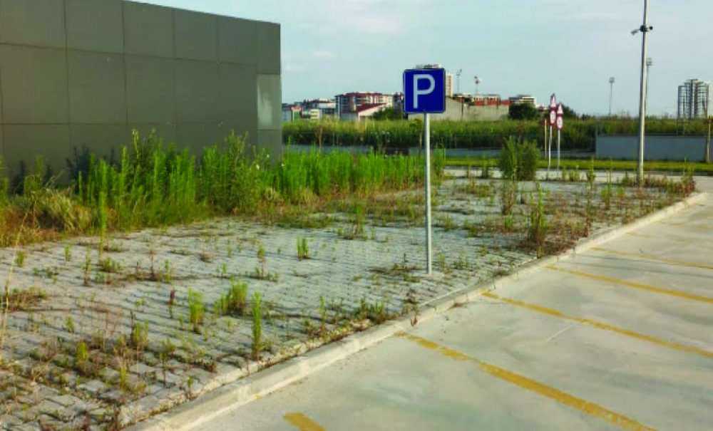 Trafik Eğitim Parkı, Orman Parkına Dönüştü!