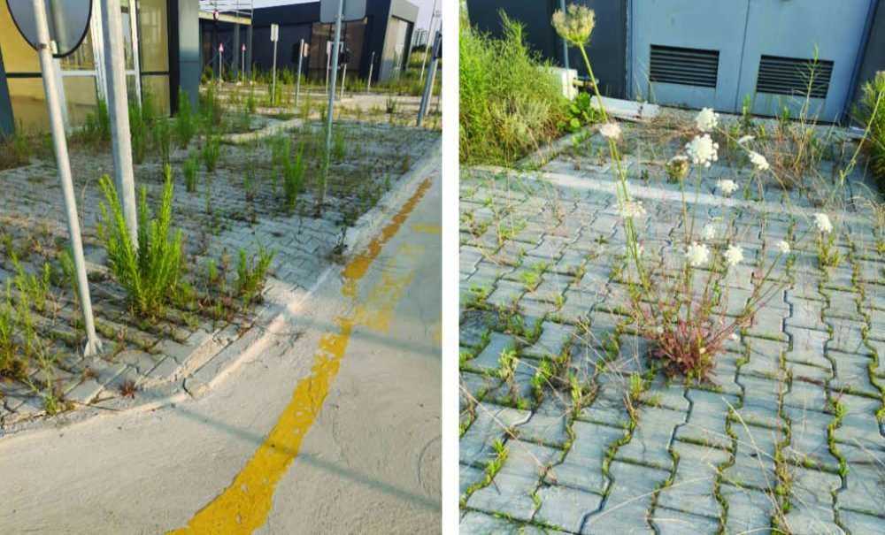 Trafik Eğitim Parkı, Orman Parkına Dönüştü!