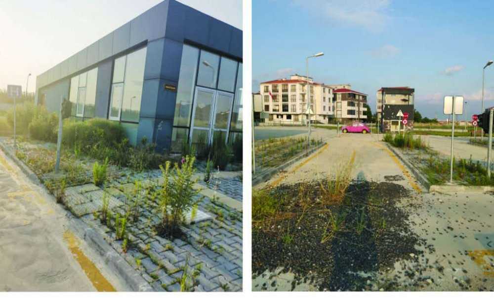 Trafik Eğitim Parkı, Orman Parkına Dönüştü!