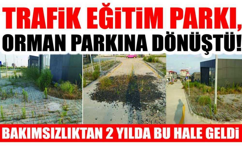 Trafik Eğitim Parkı, Orman Parkına Dönüştü!