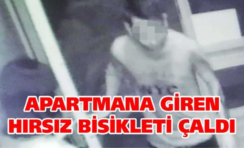 Apartmana Giren Hırsız Bisikleti Çaldı