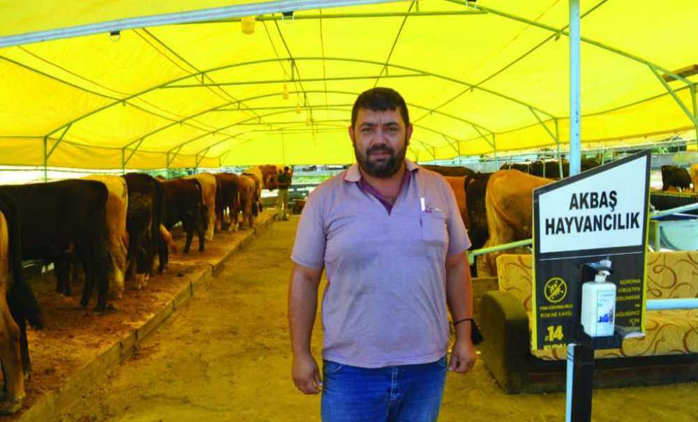 Kurbanlık Var, Alıcı Yok!