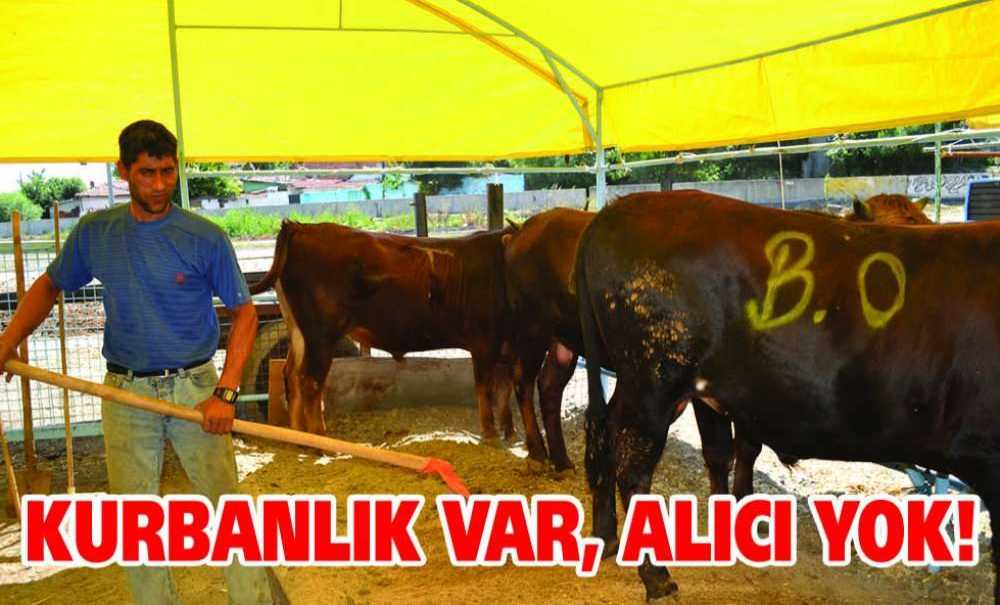 Kurbanlık Var, Alıcı Yok!