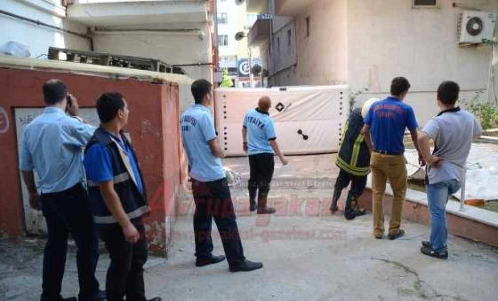 Çılgın Aşık Çatıya Çıktı