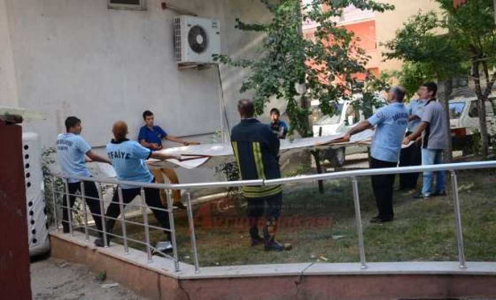 Çılgın Aşık Çatıya Çıktı