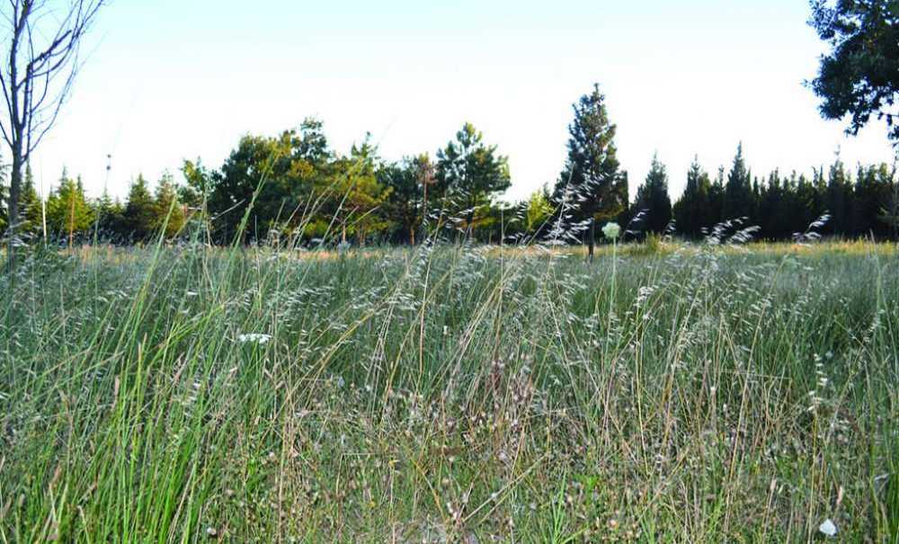 Tema Parkı'nda Her An Yangın Çıkabilir!