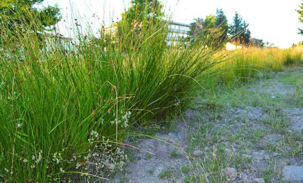 Tema Parkı'nda Her An Yangın Çıkabilir!