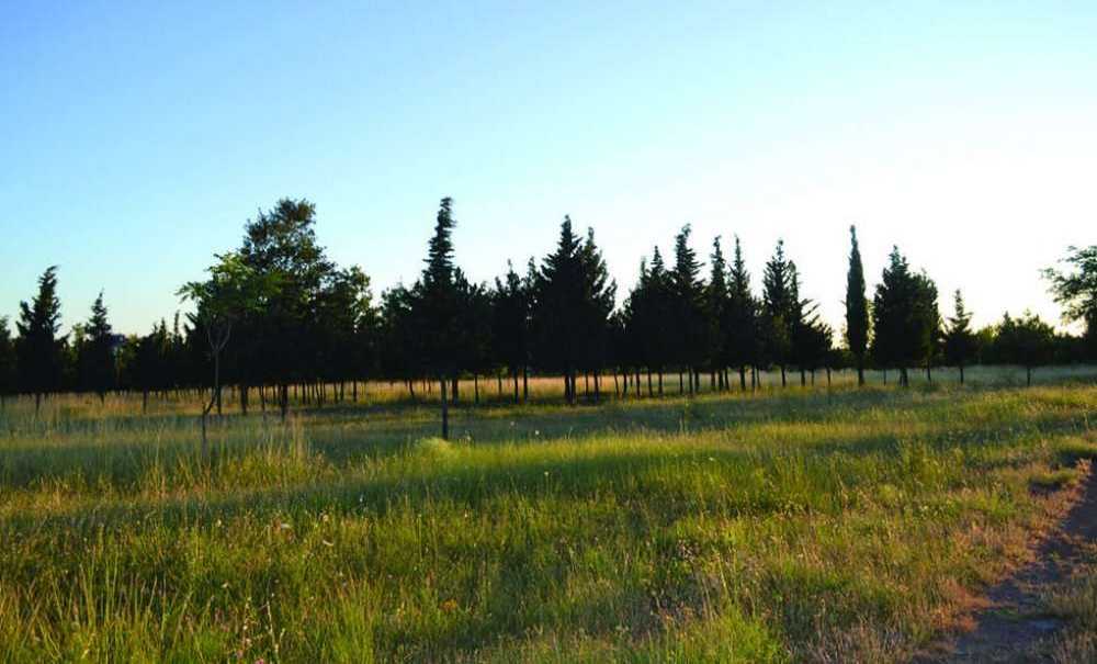 Tema Parkı'nda Her An Yangın Çıkabilir!
