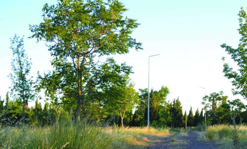 Tema Parkı'nda Her An Yangın Çıkabilir!