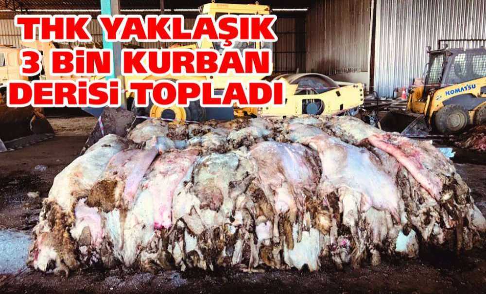 Thk Yaklaşık 3 Bin Kurban Derisi Topladı