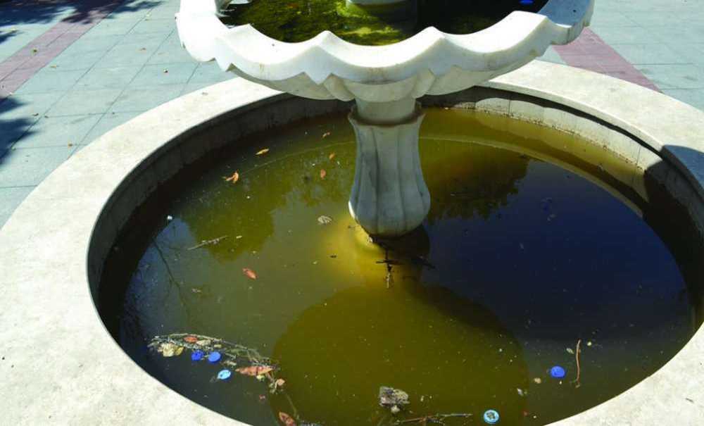 Müzenin Önü Pislikten Geçilmiyor!