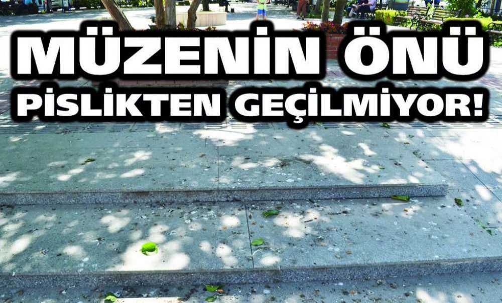 Müzenin Önü Pislikten Geçilmiyor!
