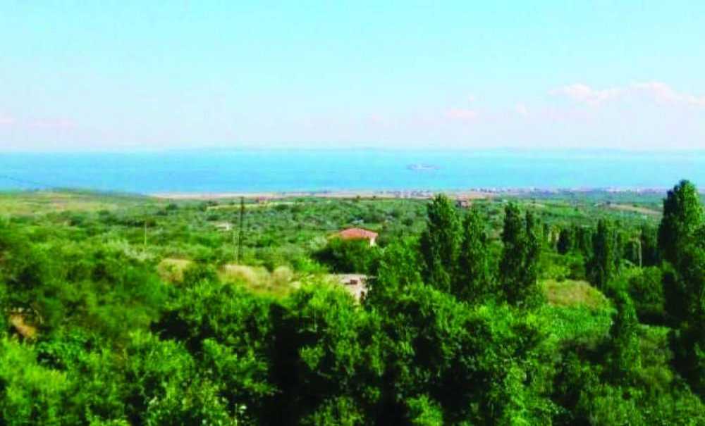 Tekirdağ'da Ormanlara Giriş Yasaklandı