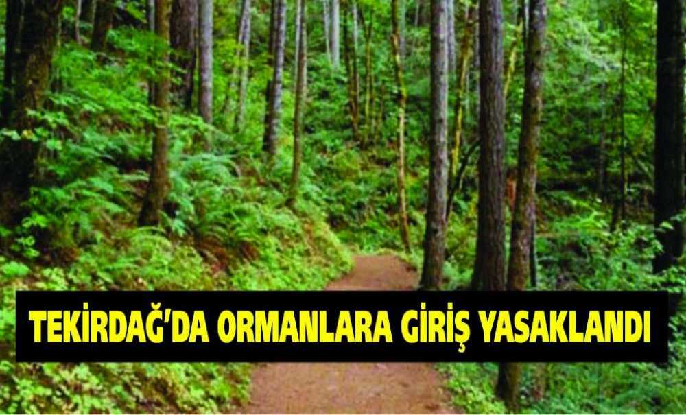 Tekirdağ'da Ormanlara Giriş Yasaklandı