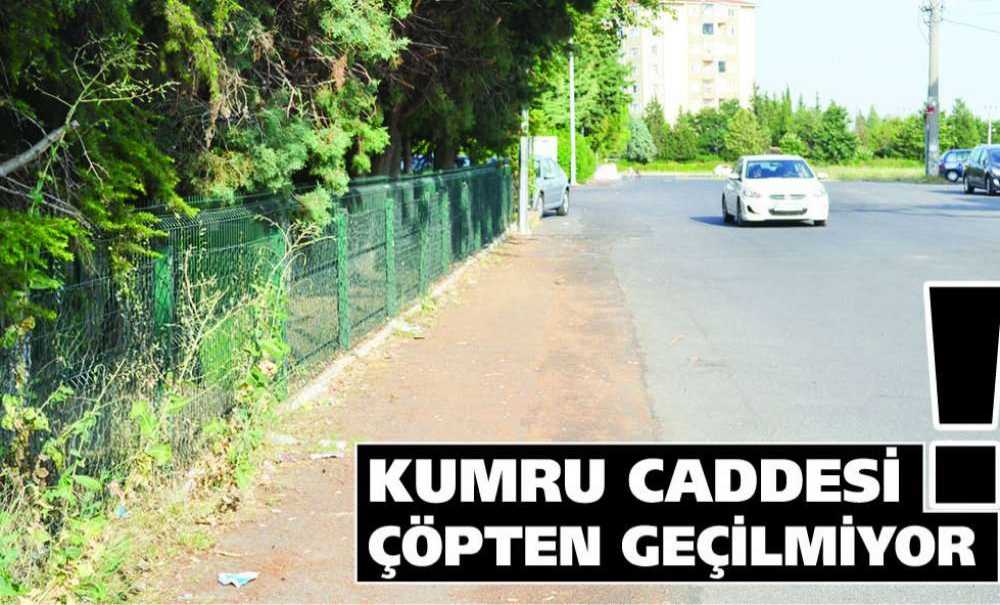 Kumru Caddesi Çöpten Geçilmiyor!!