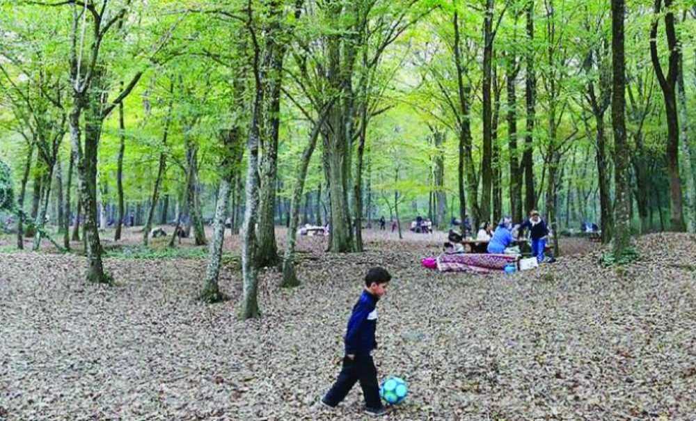 “Ormanlarda Ateşli Piknik Yapmayalım”