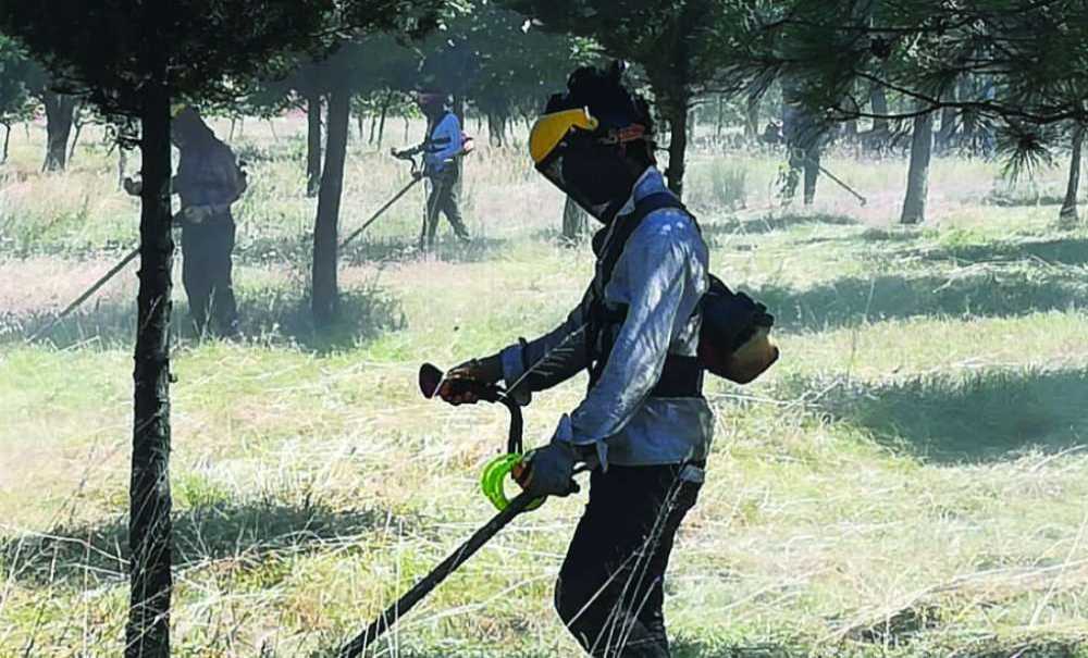 Tema Parkı'ndaki Otlar Biçildi