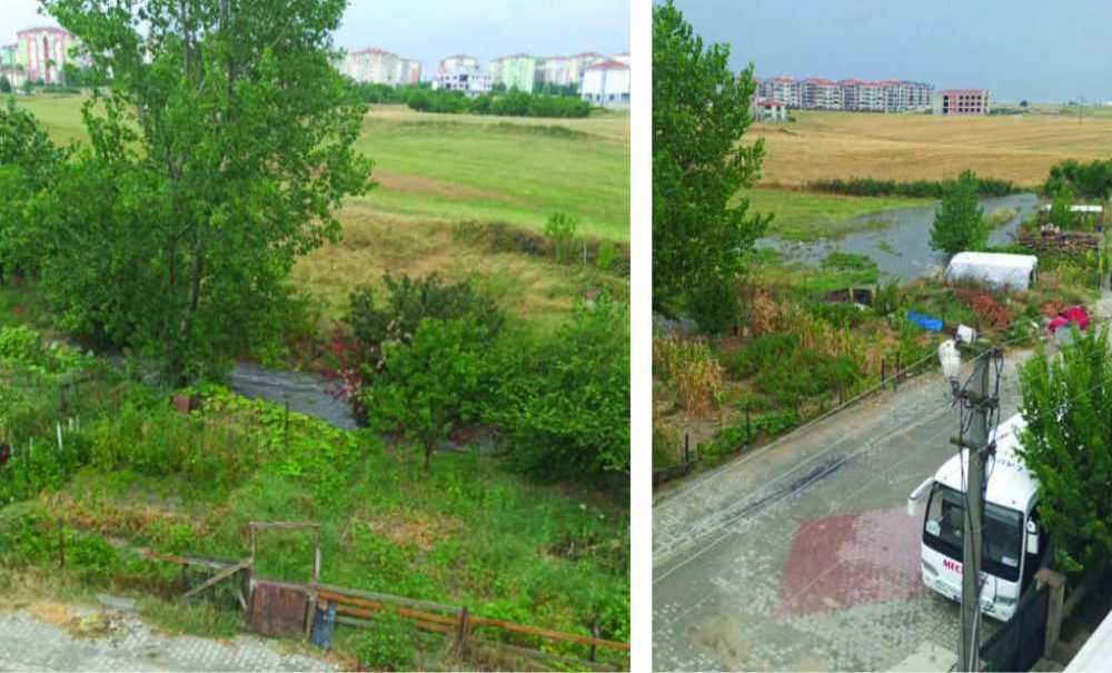 Dere Koku Yaymaya Devam Ediyor