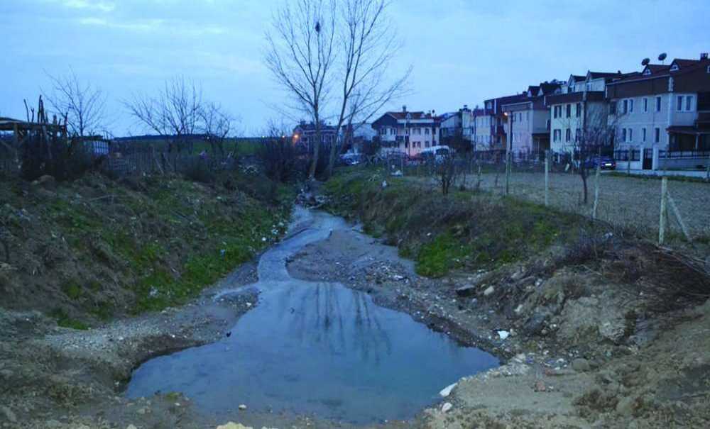 Dere Koku Yaymaya Devam Ediyor