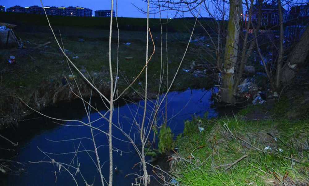 Dere Koku Yaymaya Devam Ediyor