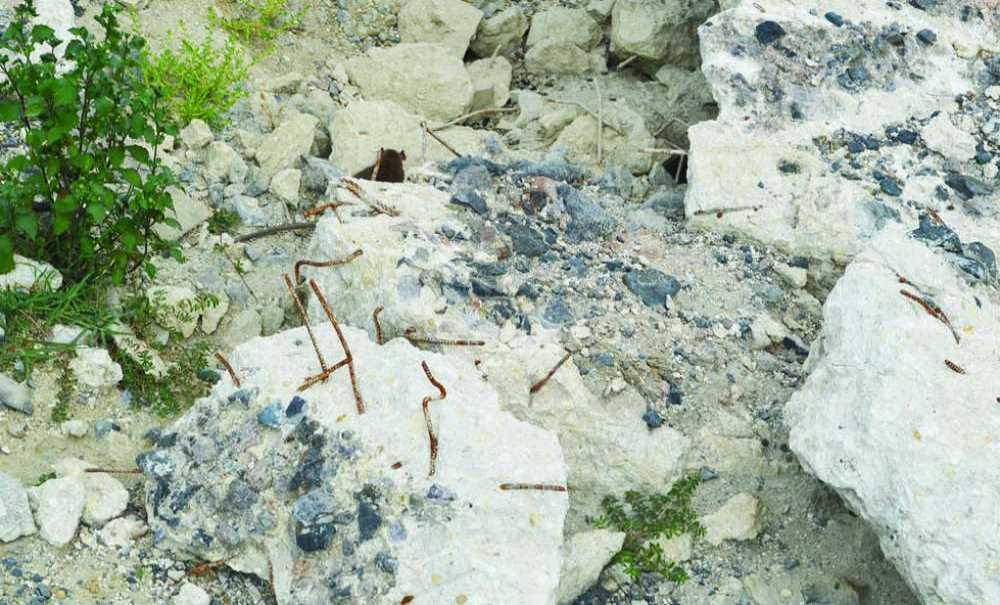 Emlak Konutları Bölgesini Fareler Bastı