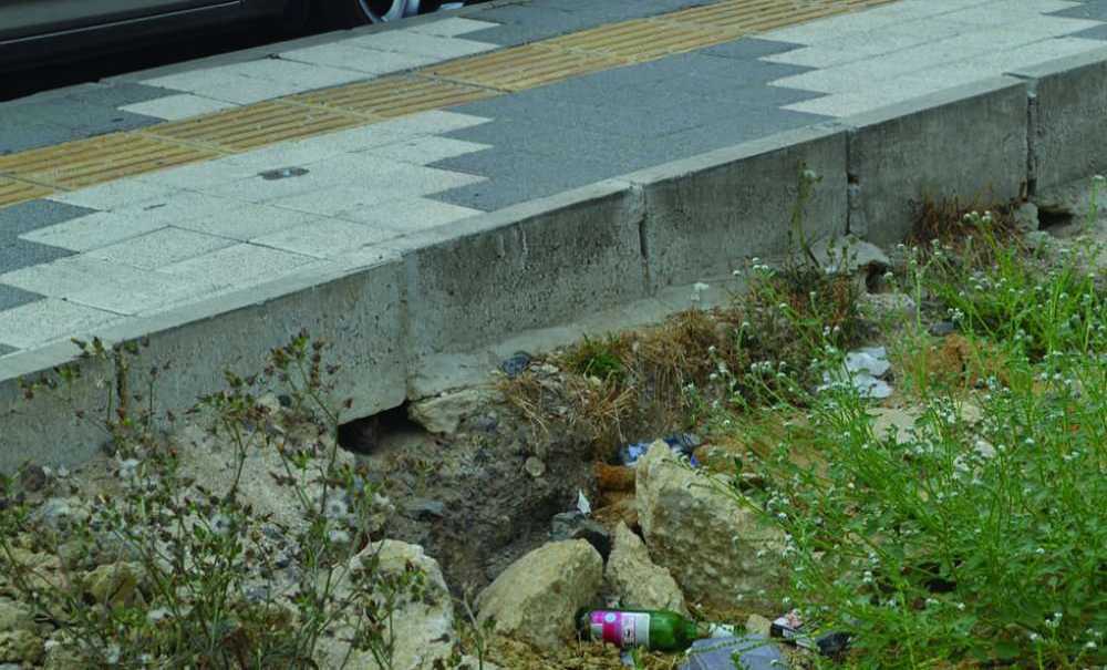 Emlak Konutları Bölgesini Fareler Bastı