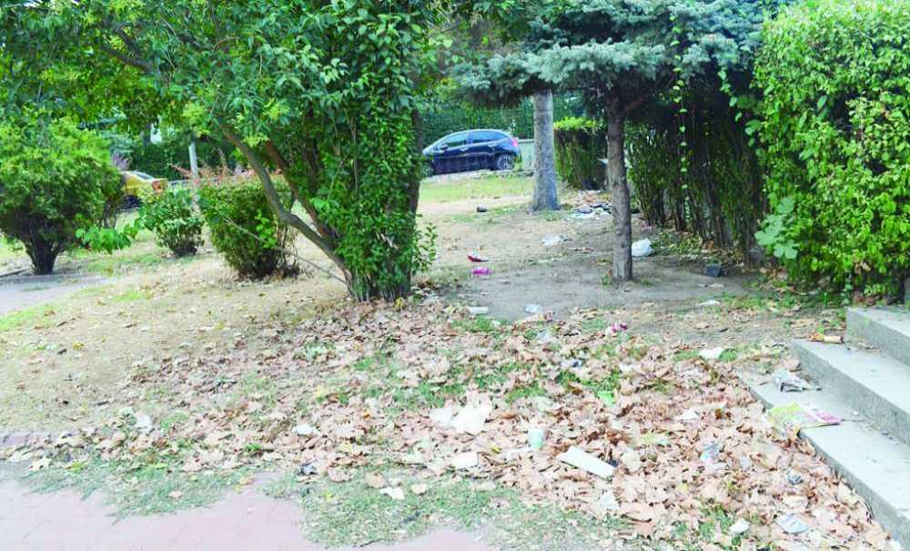 Bu Park Hiç Temizlenmiyor Mu?