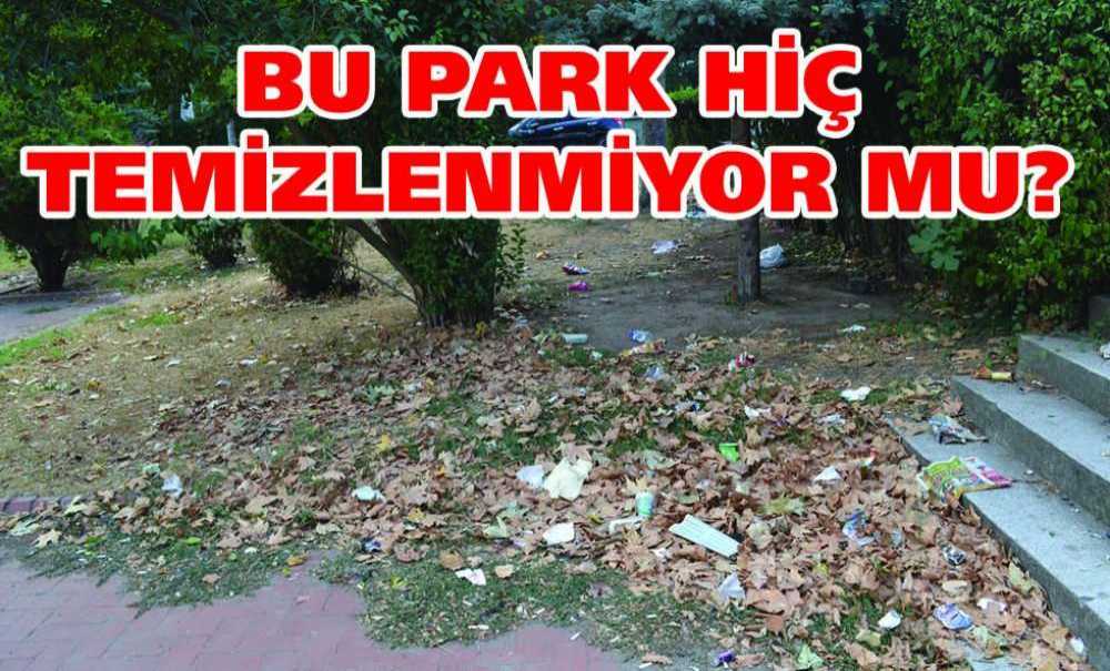 Bu Park Hiç Temizlenmiyor Mu?