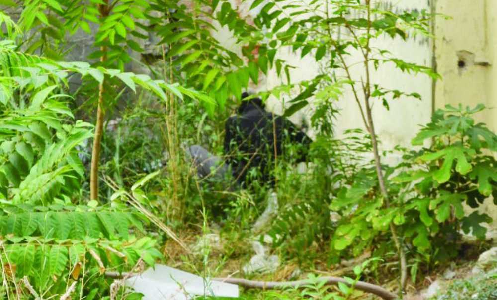 Bağımlıların Yeni Adresi Şekerci Sokak!