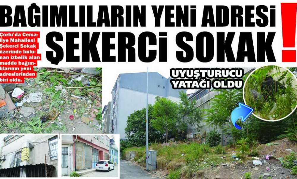 Bağımlıların Yeni Adresi Şekerci Sokak!