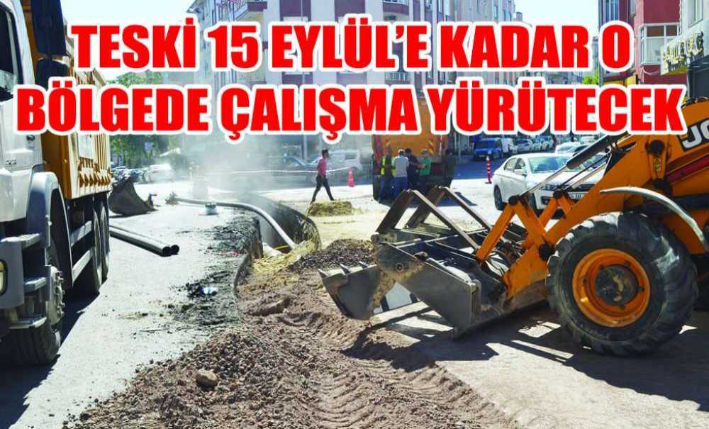 Teski 15 Eylül'e Kadar O Bölgede Çalışma Yürütecek