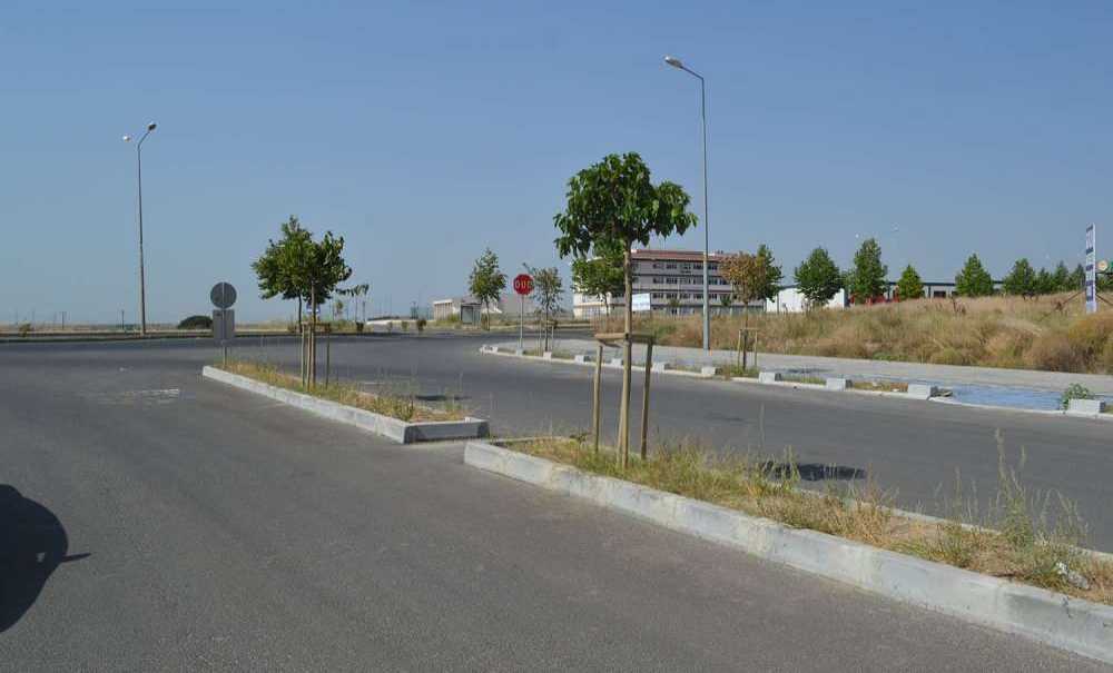 O Bölgelerle İlgili Hala Çalışma Yok!