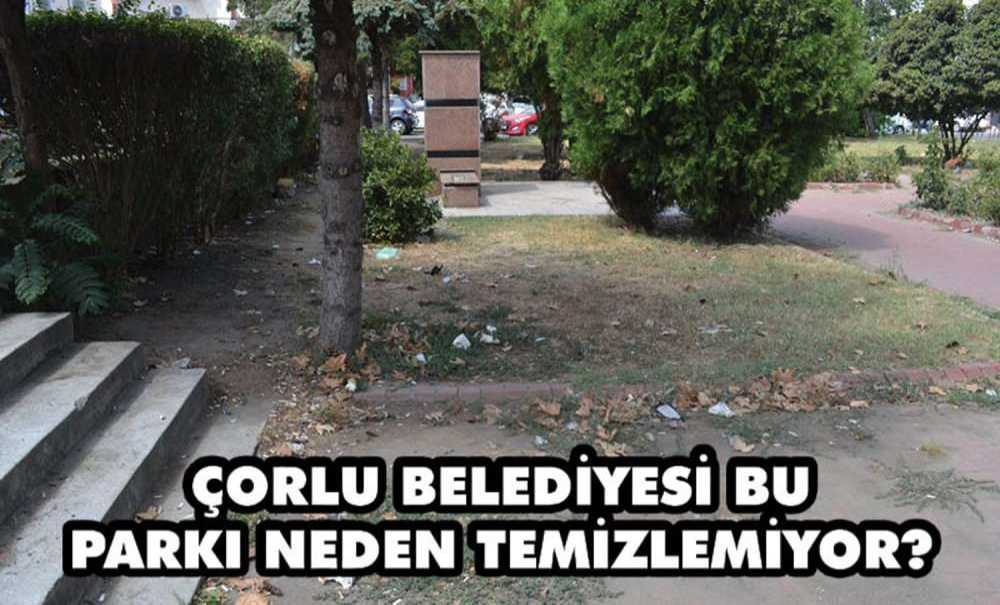 Çorlu Belediyesi Bu Parkı Neden Temizlemiyor?