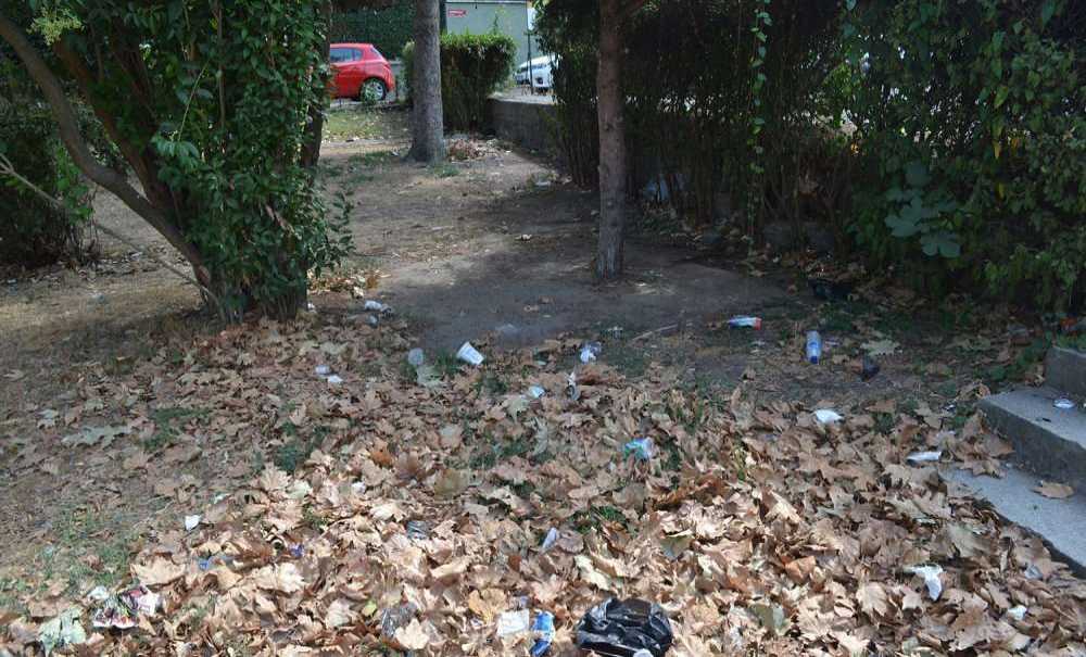 Çorlu Belediyesi Bu Parkı Neden Temizlemiyor?