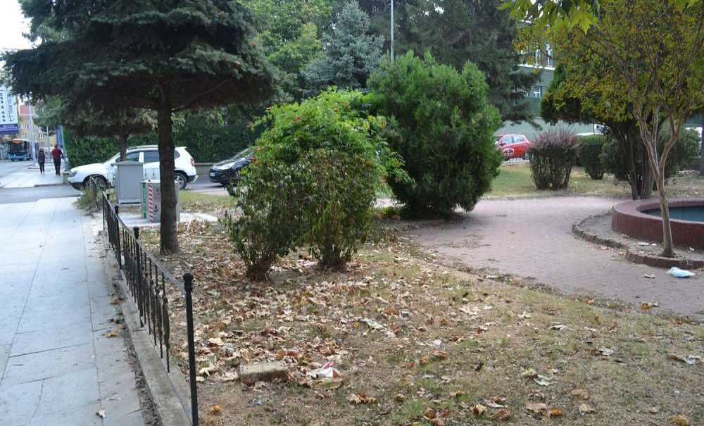 Çorlu Belediyesi Bu Parkı Neden Temizlemiyor?