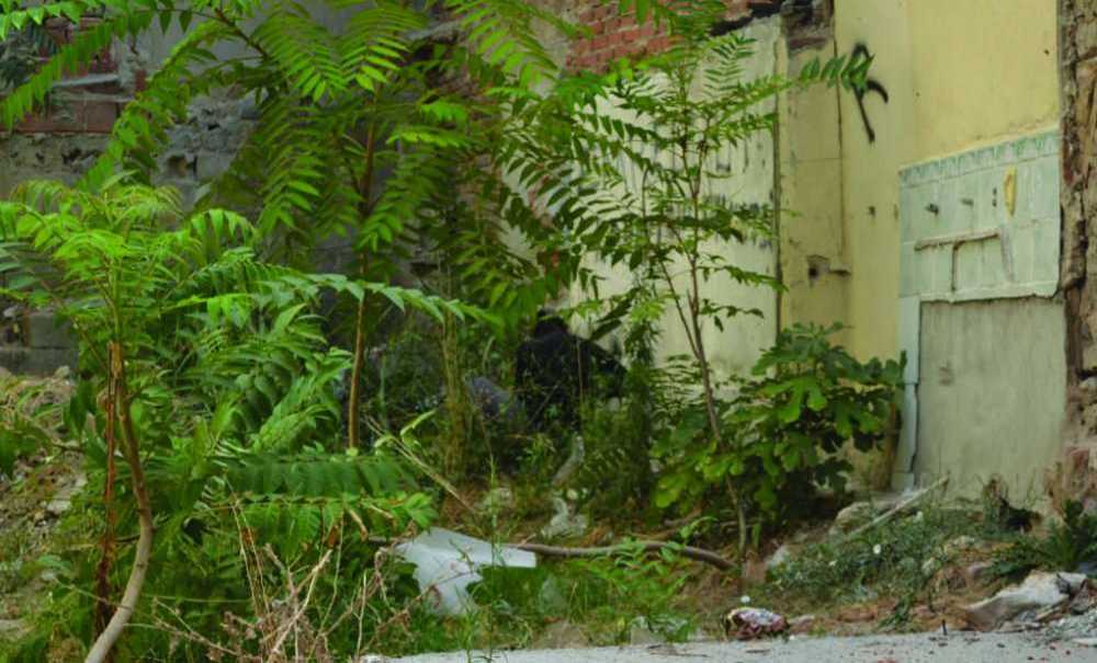 Uyuşturucu Yuvası İzbelik Alan Ne Zaman Temizlenecek?