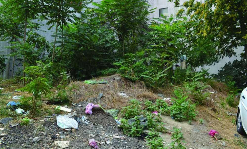 Uyuşturucu Yuvası İzbelik Alan Ne Zaman Temizlenecek?