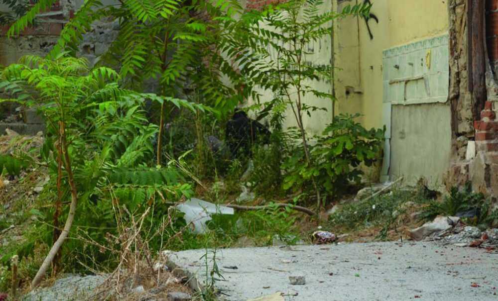 Uyuşturucu Yuvası İzbelik Alan Ne Zaman Temizlenecek?