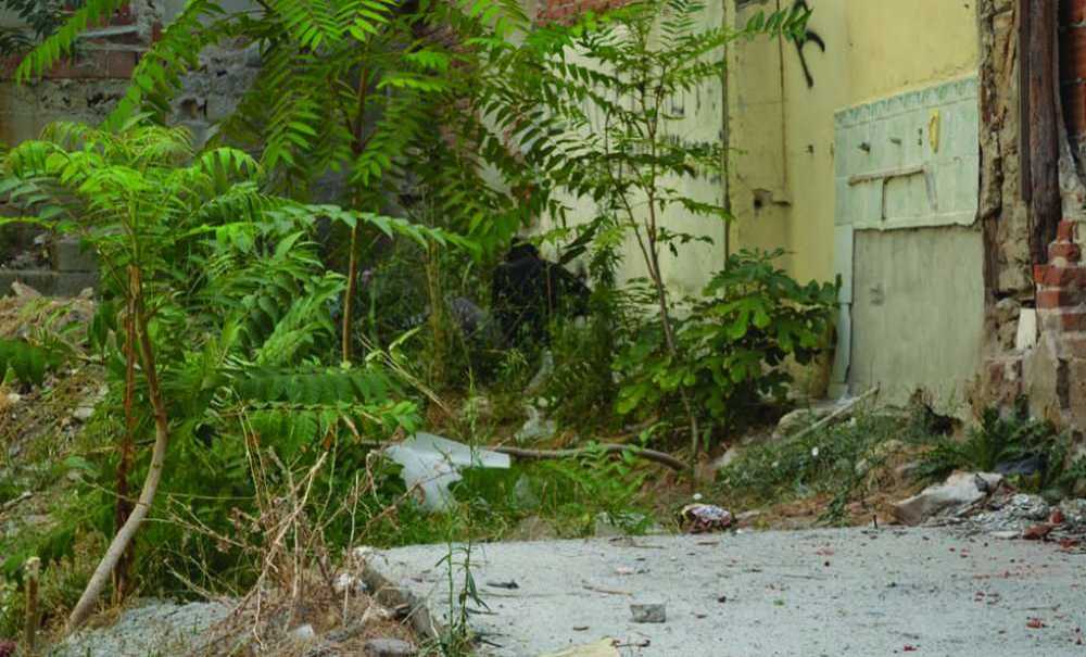 “Devletimiz Uyuşturucu Bataklığını Kurutmalıdır”